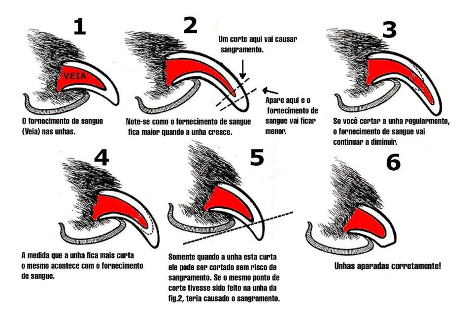 Cortador de Unhas HomePet