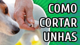 Cortador de Unhas HomePet